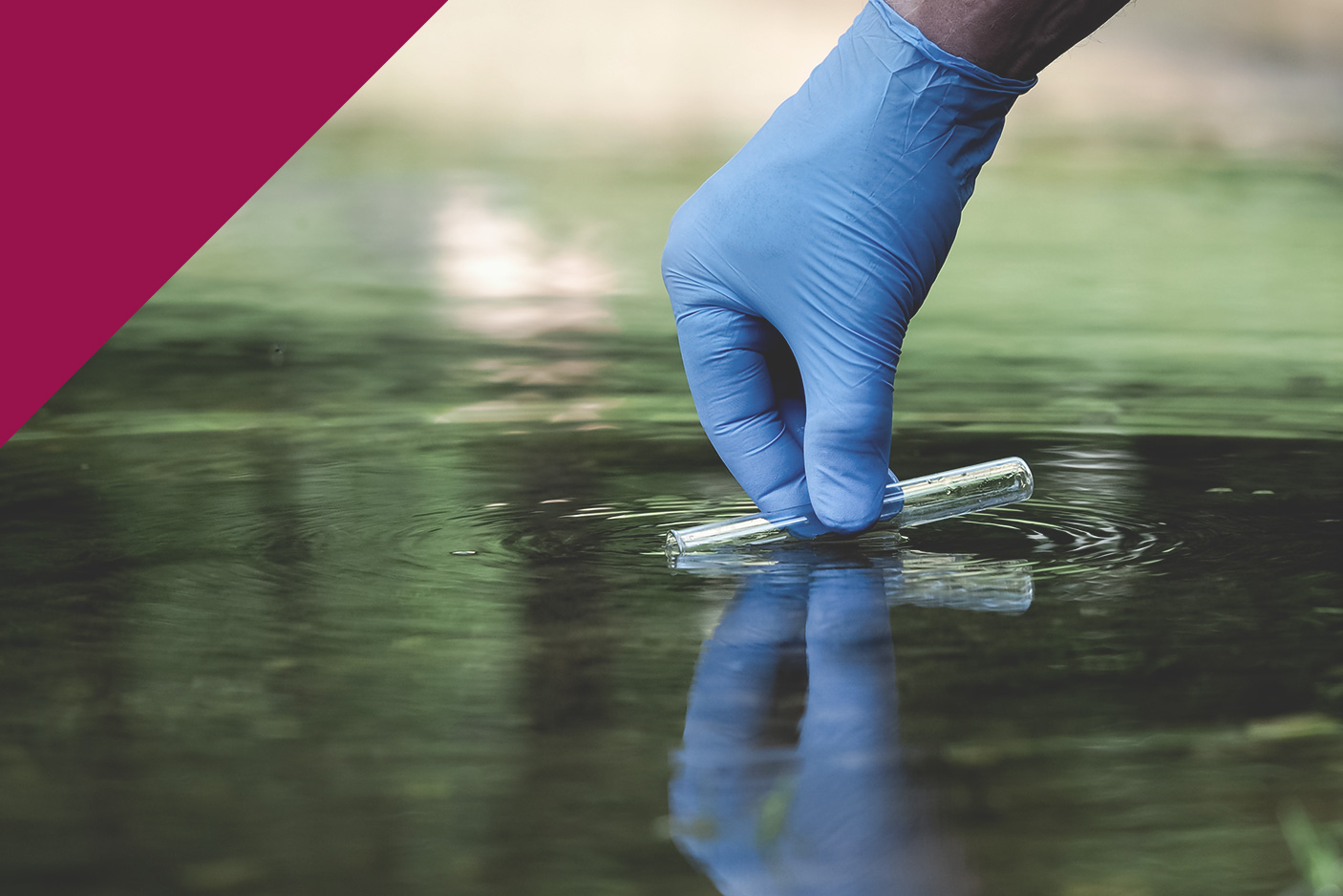 Essentials of CLM 2 - Site Investigation - 2 June to 31 July 2025