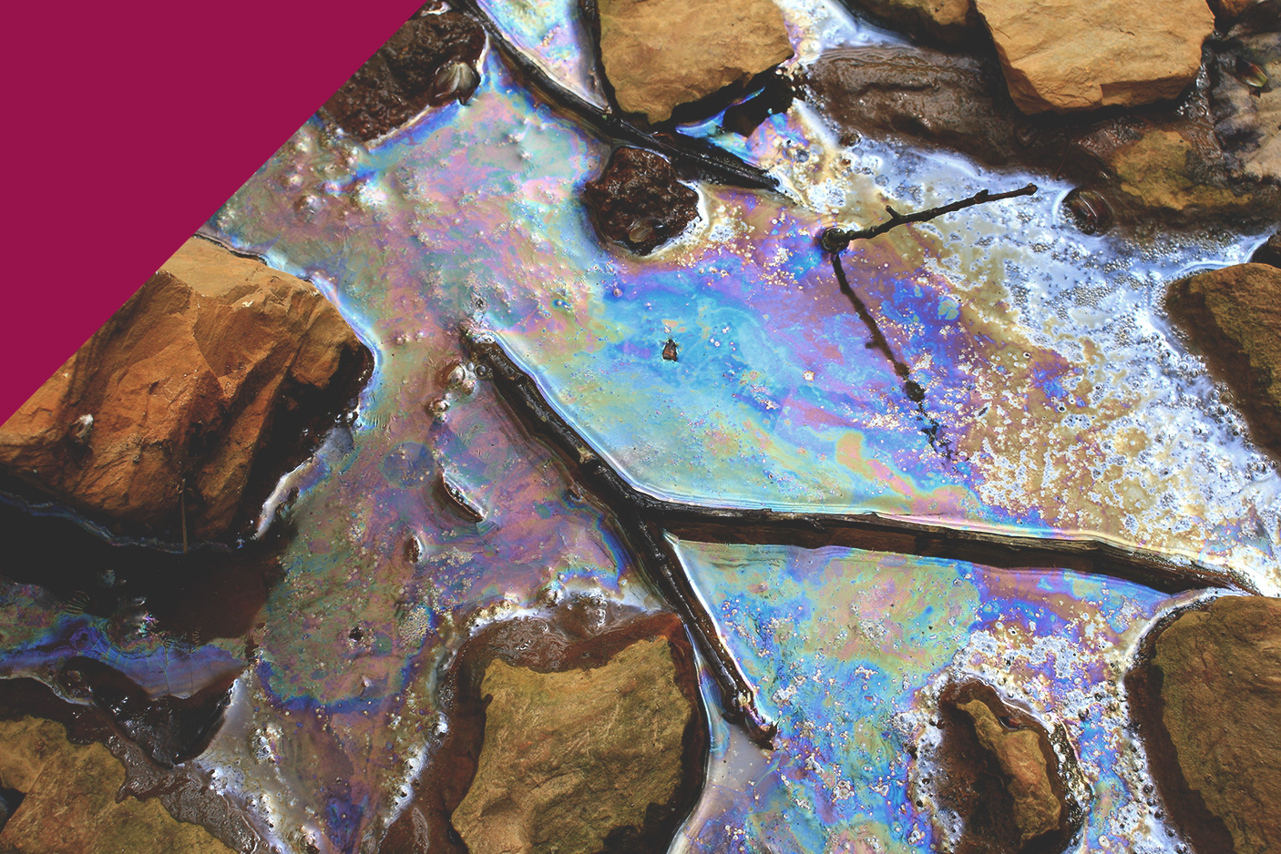 Essentials of CLM 1 - Introduction to Contaminated Land Management - 5 January 2026 to 31 March 2026 